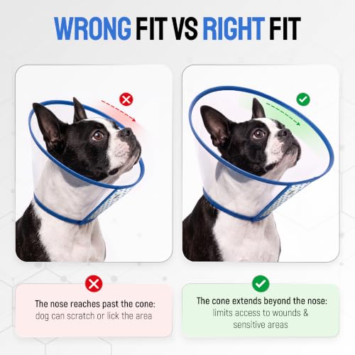Image of SILVER GRADE Protective Dog Cone Collar for Recovery, Size L, 14.2-16.5 in