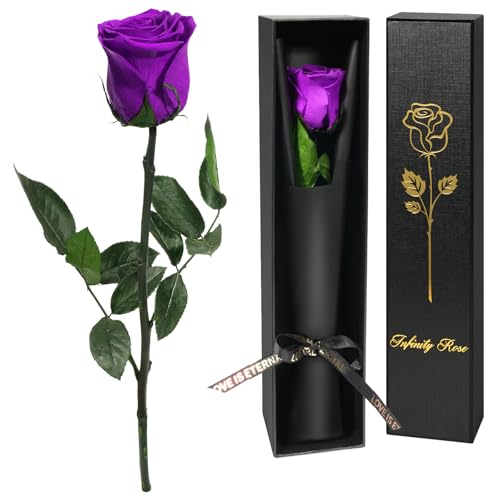 Yamonic Rosa Eterna Regalos para Mujer, Rosa Preservada con Tallo Regalo Cumpleaños Mujer, Flores Preservadas Regalo Mujer Navidad Rosa Eterna Natural Preservada Regalo San Valentín Dia de la Madre