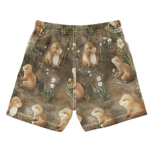 Boccsty Daisy Flower Cute Brown Sea Otter Boys Swim Trunks Baby Kids Swimwear Summer Toddler Beach Board Shorts 2T2