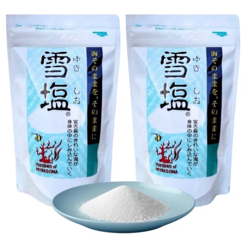 雪塩 60g」の人気商品一覧 | 安い商品を通販サイトから探す - 価格.com