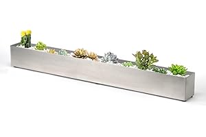 Sleek Stainless Steel Planter for Enhanced Indoor and Outdoor Spaces