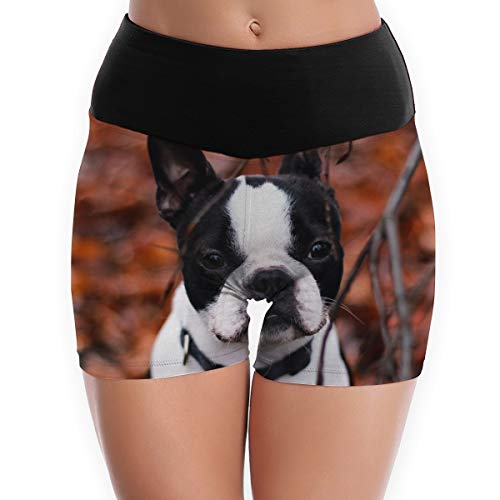 Arthur Women's Stretch Athletic Workout ShortsBulldog DogWorkout Yoga Shorts M