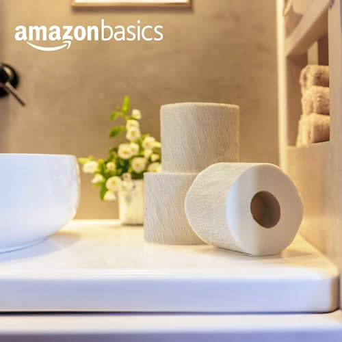 Image of Amazon Basics Soft and Strong 2-Ply Toilet Paper, 24 Ultra Rolls = 96 Regular Rolls, Unscented, 340 Sheet (4 Packs of 6)