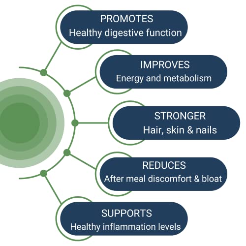 Healthy Gut Hcl Guard+ | Promotes Healthy Digestive Function | Betaine Hydrochloride, Organic Ginger Root And Dgl, & Pepsin | 60 Servings #TOP3
