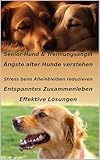 Senior-Hund & Trennungsangst: Ihr Weg: Ratgeber: Ängste alter Hunde verstehen,...