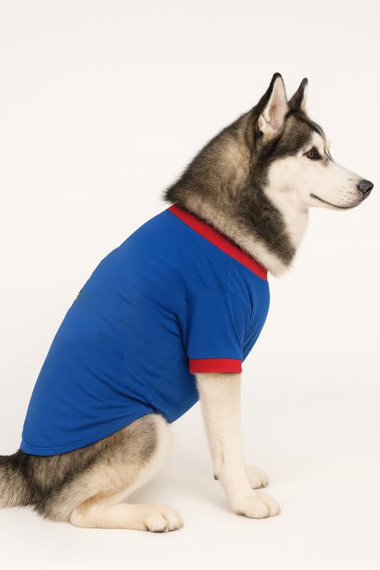 Image of Thunder Tails Cotton Adjustable Dog T-Shirt for Full-Grown Labrador, Golden Retriever, German Shepherd & Husky | Soft Pet Clothing for Large Dogs (Royal Blue, 5XL)