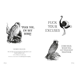 Effin Birds A Field Guide to Identification Hardcover–October 15 2019