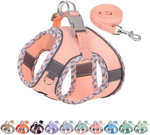 AIITLE Dog Harness and Leash for Walking, Puppy Harness, Soft Bre...