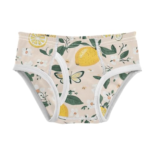 Wusikd Cute Lemons Boys' Underwear Cotton Butterflies Flowers Boys Briefs Soft Toddler Underwear 2T