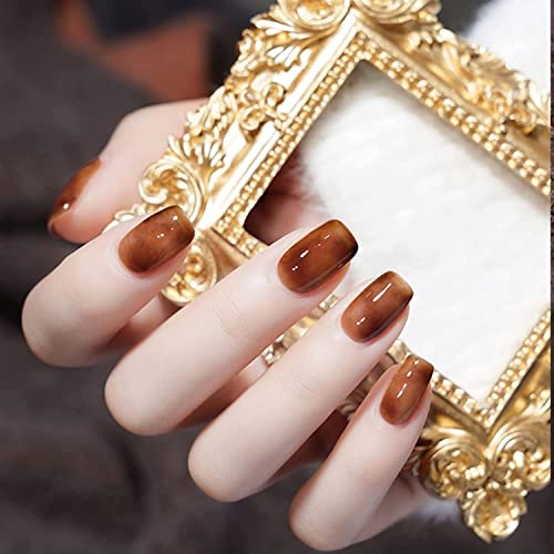 Omainy Jelly Gel Nail Polish Set,Brown Jelly Gel Polish Set,Translucent Gel Nail Polish,Crystal Jelly Clear Gel Nail Polish,Sheer Gel Nail Polish Set,Brown Fall Colors,Soak Off Uv Led Nail Art Cs6001 #TOP3