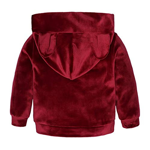 Boys Girls Velvet Hooded Tracksuit Sweatshirt Top + Sweatpants Hoodie Outfit Set #TOP1