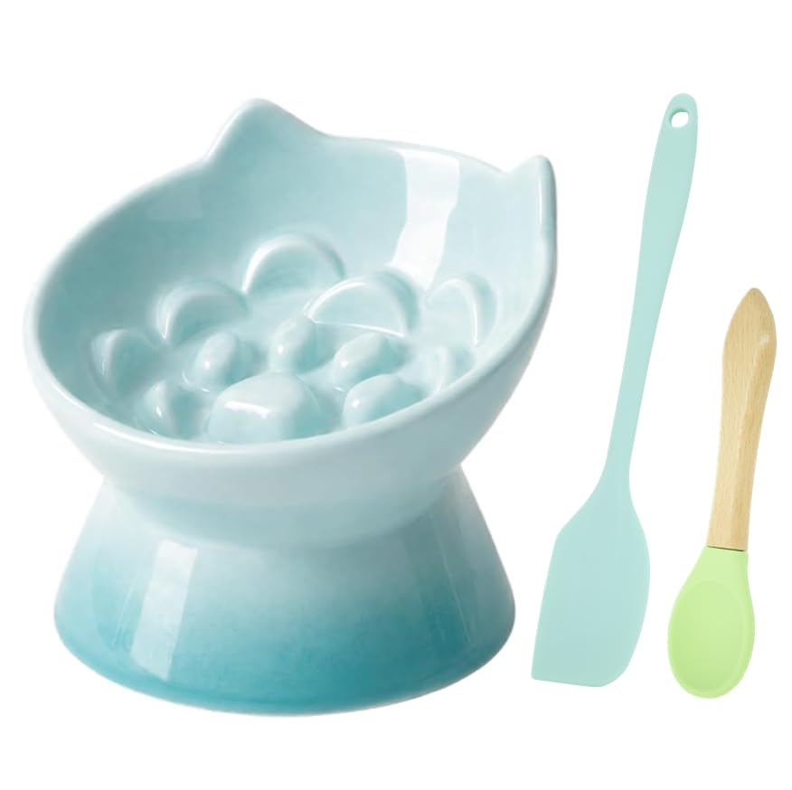 Vitisyao Ceramic Cat Slow Feeder, Raised Slow Feeder Cat Bowl