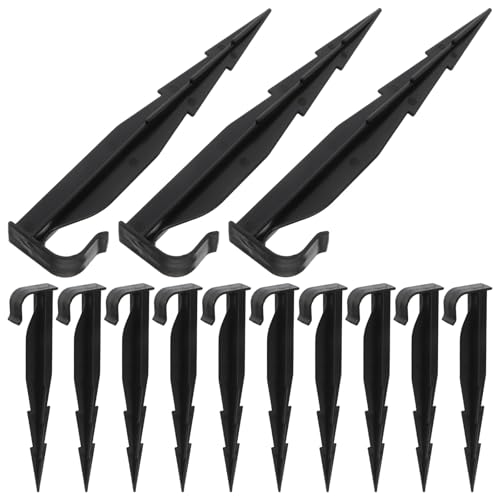 TEHAUX Ophbvz[Xz_[ 50Zbg LhSŒY prA͗px 뉀VXep_HANZT[