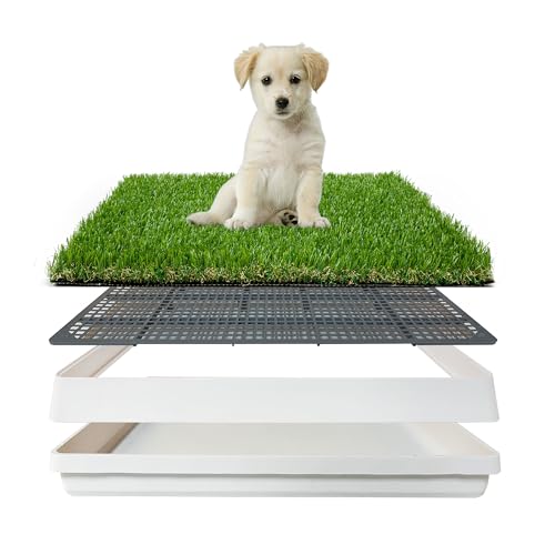 LGR SHINE pgCtŐpbh gC{bNX q̂g[jOp|[`|beB tFCN pbht pbhz_[t