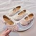 ZSpzx Girls Sequin Mary Jane Shoes Shinny Pearl Princess Shoe Low Heels Ankle Strap Flats Slip on Round Toe Non Slip Comfortable Fashion Dressy Wedding Parties Shoes for Toddler Little Kid Big Kid