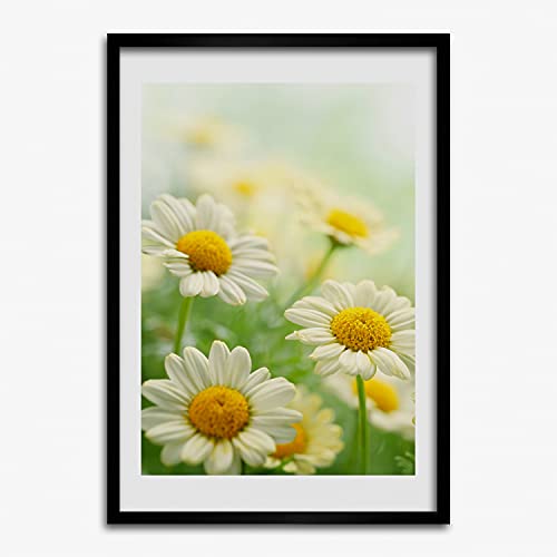 Affiche moderne marguerites avec cadre en bois MDF 50x70 cm Tulup pour décoration