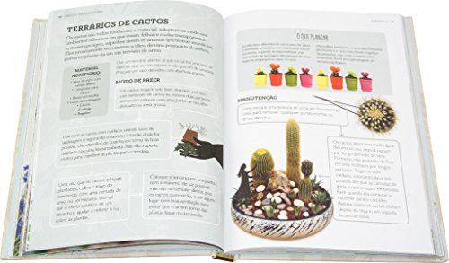 Jardins em miniatura