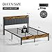 Liians Queen Bed Frame with Headboard, Metal Platform Bed with Smart LED Lights and USB Charging Station, Easy Assembly, No Box Spring Needed