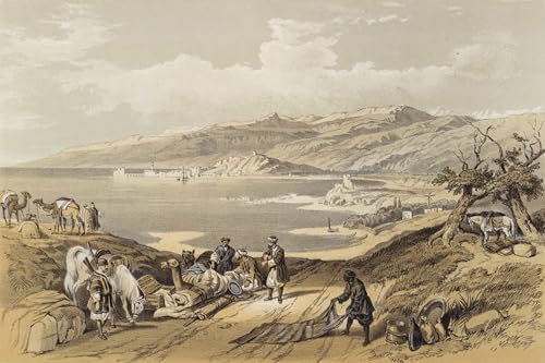 Sidon Liban David Roberts Poster Graffiti aux Couleurs Vibrantes et Style Urbain 60x90cm