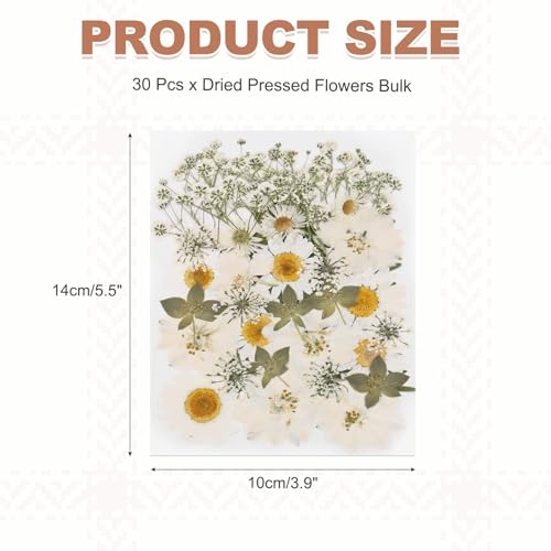 PATIKIL 36 Piezas Flores Secas Prensadas para Manualidades miniatura 2