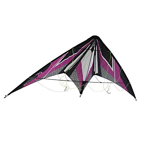 WindNSun Ez Sport 70 Polyester Ripstop Stripe Dual Control Sport Kite, Hex Purple