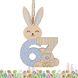 Adornos de Pascua para el – 67 piezas lindas decoraciones de conejo de madera | Conejo de Pascua para colgar en la pared y las vacaciones | Decoración festiva para el hogar, cocina, jardín, patio
