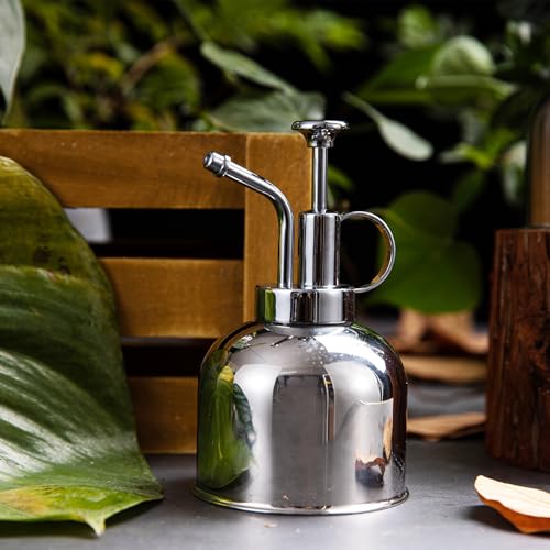 Arrosoir miniature pour arroser avec précision sans verser à côté