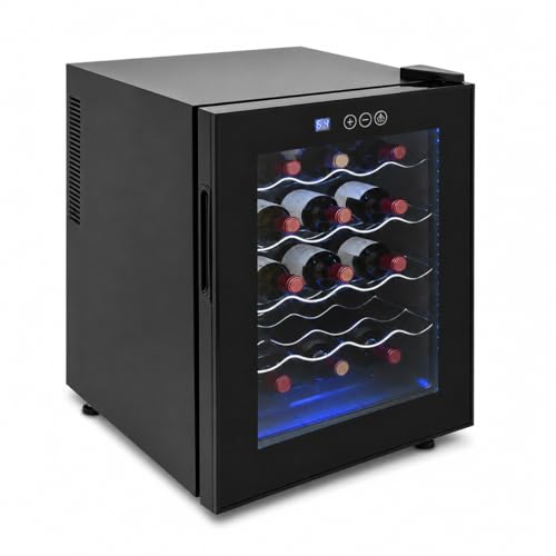 Cave à Vin 20 Bouteilles, Réfrigérateur à Vin 48 L...