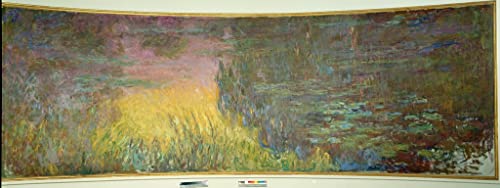 Affiches Nénuphars Monet pour remplacer un mur vide par de l'art