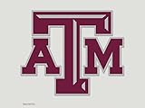 NCAA Texas A&M Aggies Die-Cut Color Decal, 8