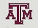 NCAA Texas A&M Aggies Die-Cut Color Decal, 8"x8", Team Color
