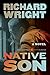 Native Son (Perennial Classics)