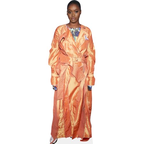 Tierra Whack (Orange) Silhouette en Carton Taille Mini