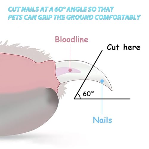 lcyen Krallenschere Katzen Katzen Krallenschneider Set Katzenkrallen Schneider mit 2mm/4mm Sicherheitsloch Über-Schnittschutz, Tierarzt-entwickelt für Welpen/Kleine Hunde (1 Set inkl. Diamantfeile)