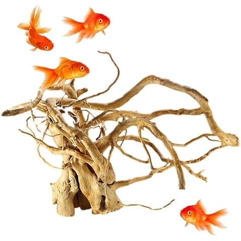 Bois Flotté Murman pour Aquarium Cover