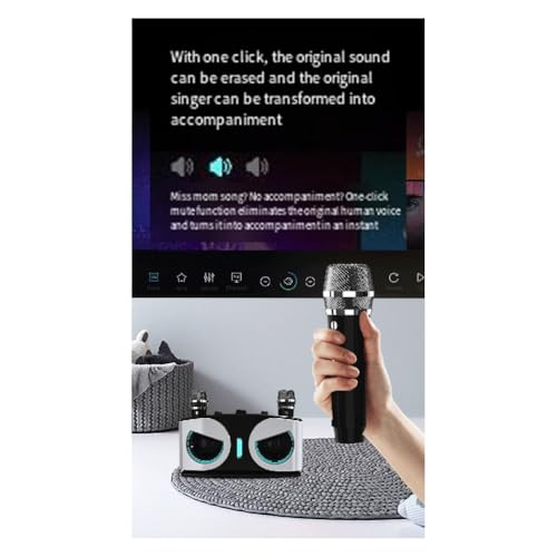 Enceinte Bluetooth Puissante SD306plus Double Micro Haute Fidélité Portable pour Fêtes - 5