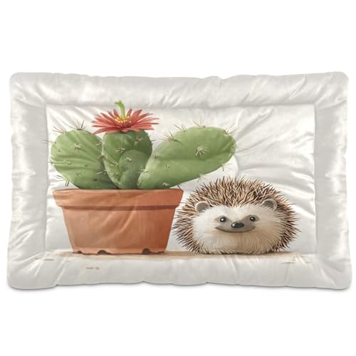 Fuauuyl Alfombrilla suave para cama de perro con diseño de cactus y erizo, de ojos rosados, lavable a máquina, con parte inferior antideslizante para dormir de perro, 91 x 61 cm