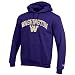 Elite Fan Shop Washington Huskies Hooded Sweatshirt Varsity Purple - XL