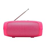 Bluetooth Speaker with Antenna Radio Cylinder Card Outdoor Small Speakers Gift Speakers Pink