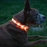 Blazin LED Light Up Dog Collar - 1,000 Feet of Visibility - Brightest for Night Safety - USB Recharg