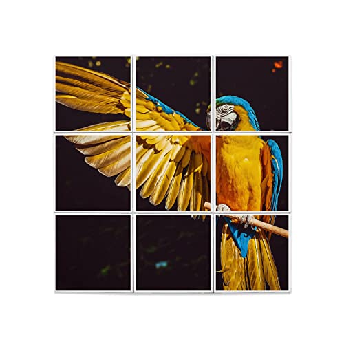 Carreaux céramique perroquet 60x60 cm pour décor mural exotique