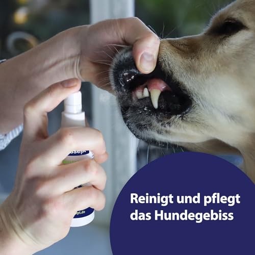 Canosept Zahnpflegespray für Hunde 100ml - Zahnsteinentferner Hund - Dentalspray für Hunde Zahnstein - gegen Mundgeruch