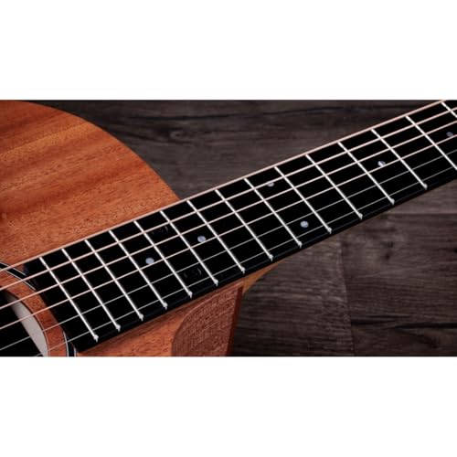 Taylor 24ce Neo-Tropical Mahogany/African Sapele Natural w/Fishman Sonitone GT-2