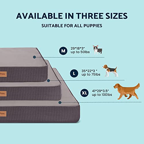Puppy Paw Orthopedic Dog Bed For Small & Medium Dogs - Memory Foam Dog Bed With Waterproof Inner Liner, Removable Washable Cover - Plush Top Pet Bed Mat #TOP6