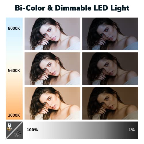 Dazzne D50 Photography Lighting with Barn Door, 2-Pack 15.4" LED Video Light with Remote, 45W 3000K-8000K Dimmable Bi-Color Panel Light for Live Streaming/Wedding Shooting/Video Recording/Studio/Film