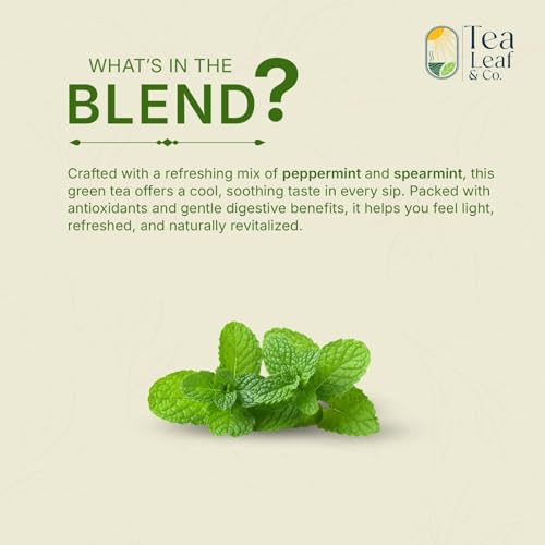 Image of Tea Leaf & Co. Mint Green Tea Bags (50), Green Tea w / Peppermint & Spearmint, Caffeinated, Real & Natural Green Tea, Blended with Fresh Herbs & Spices