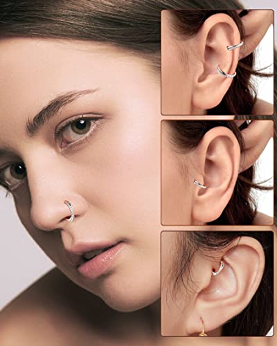 Melighting G23 Titanium Nose Rings Hoop 16G Conch Piercing Jewelry Clear Cz Double Titanium Helix Earrings Septum Rings Tragus Daith Piercing Jewelry For Women #TOP1