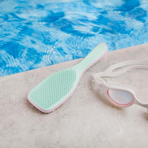 Image of Lyrovo Ultimate Hair Brush Comb for Women for Wet & Dry Hair Eliminates Knots & Reduces Breakage for All Hair Types (White & Blue)