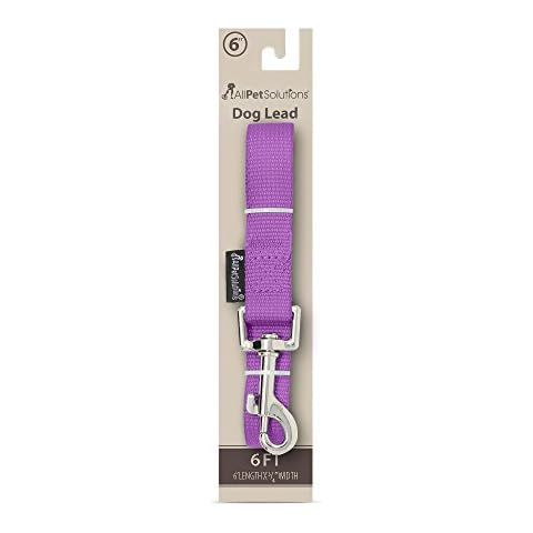 AllPetSolutions Nylon Dog Leash - 6ft Dog Lead for Walking & Running - Extra Long Dog Training Lead - Heavy-Duty Lobster Clips, Quick Push Release - Outdoor Training & Behaviour Aids for Dogs - Purple Cover
