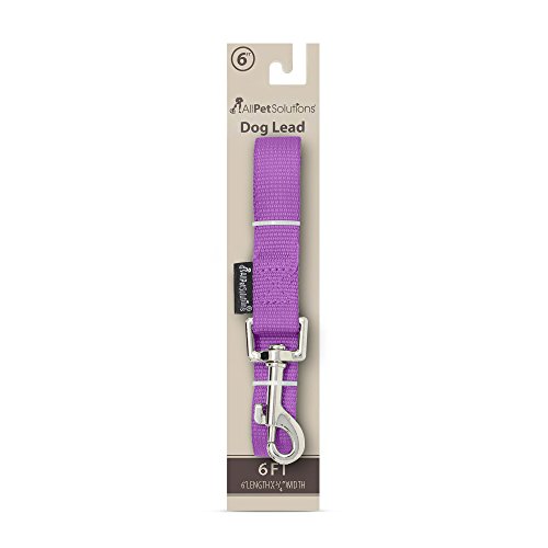 All Pet Solutions - Correa de Nailon para Perro, Color Morado, Extra Larga, 1,8 m